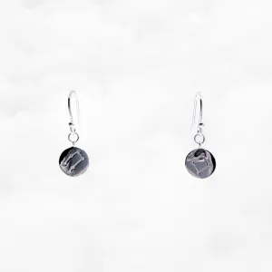 Zodiac Charm Earrings Silver